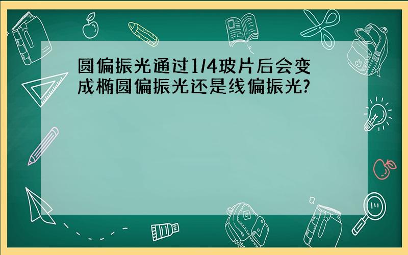 圆偏振光通过1/4玻片后会变成椭圆偏振光还是线偏振光?