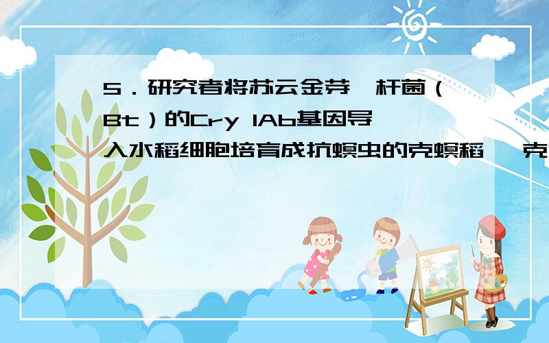 5．研究者将苏云金芽孢杆菌（Bt）的Cry 1Ab基因导入水稻细胞培育成抗螟虫的克螟稻 ,克螟稻与普通水稻杂交,子代抗螟