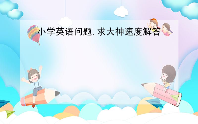 小学英语问题,求大神速度解答