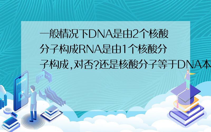 一般情况下DNA是由2个核酸分子构成RNA是由1个核酸分子构成,对否?还是核酸分子等于DNA本身