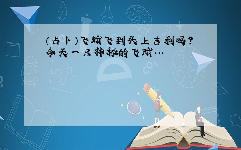 （占卜）飞蛾飞到头上吉利吗?今天一只神秘的飞蛾…