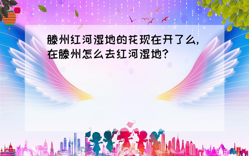 滕州红河湿地的花现在开了么,在滕州怎么去红河湿地?