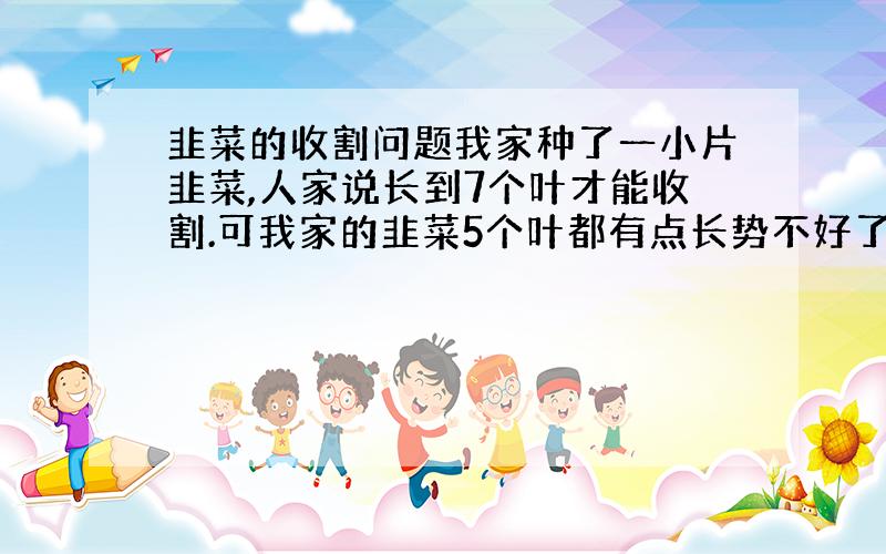 韭菜的收割问题我家种了一小片韭菜,人家说长到7个叶才能收割.可我家的韭菜5个叶都有点长势不好了,是不是要老了?是管理的不