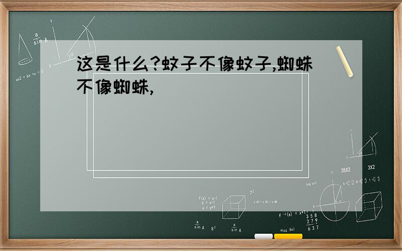 这是什么?蚊子不像蚊子,蜘蛛不像蜘蛛,