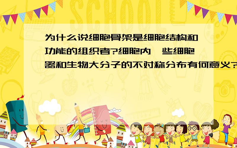 为什么说细胞骨架是细胞结构和功能的组织者?细胞内一些细胞器和生物大分子的不对称分布有何意义?