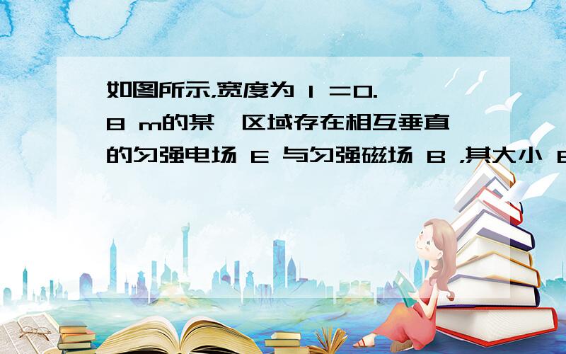 如图所示，宽度为 l ＝0.8 m的某一区域存在相互垂直的匀强电场 E 与匀强磁场 B ，其大小 E ＝2×10 8 N