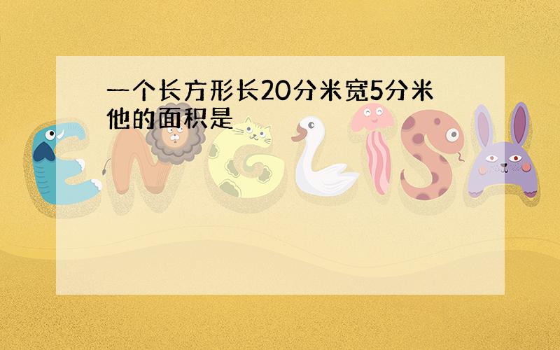 一个长方形长20分米宽5分米他的面积是