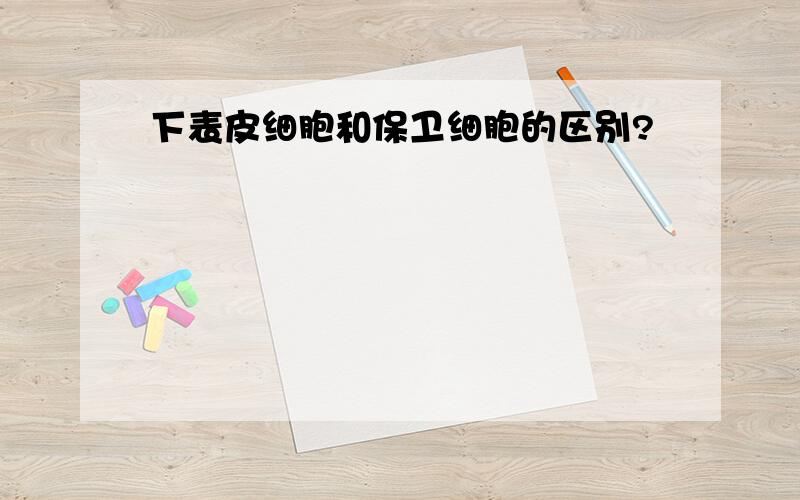 下表皮细胞和保卫细胞的区别?