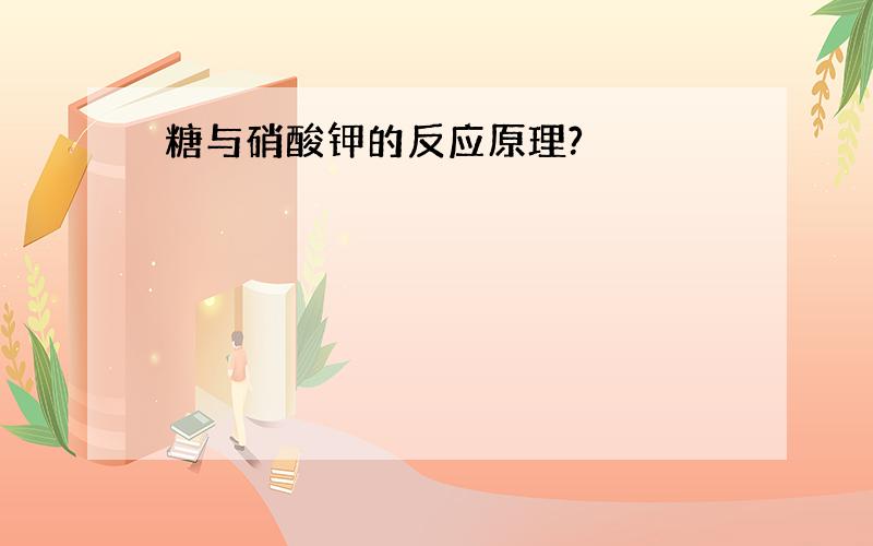 糖与硝酸钾的反应原理?