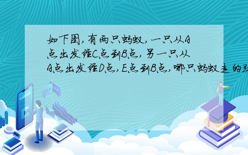 如下图,有两只蚂蚁,一只从A点出发经C点到B点,另一只从A点出发经D点,E点到B点,哪只蚂蚁走的路程多?