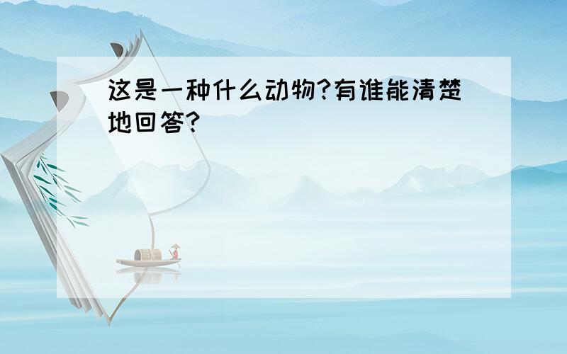 这是一种什么动物?有谁能清楚地回答?