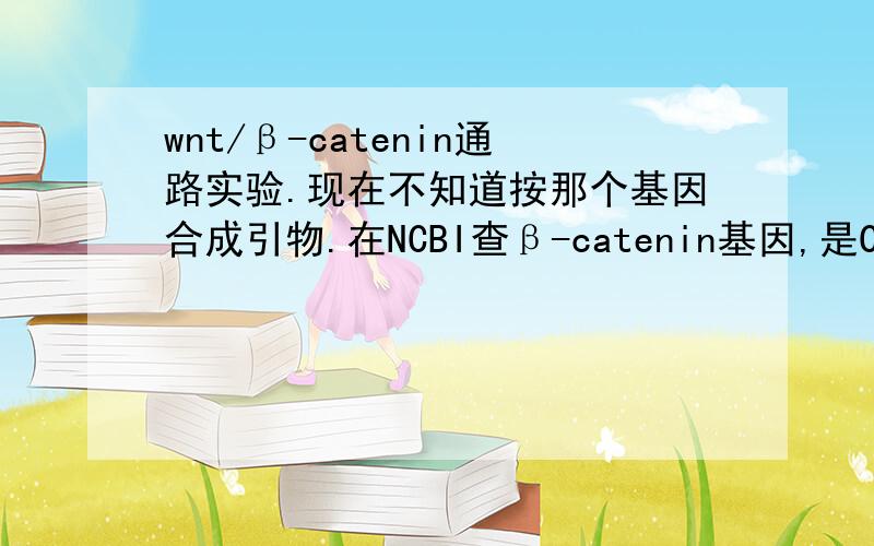 wnt/β-catenin通路实验.现在不知道按那个基因合成引物.在NCBI查β-catenin基因,是CTNNBIP1