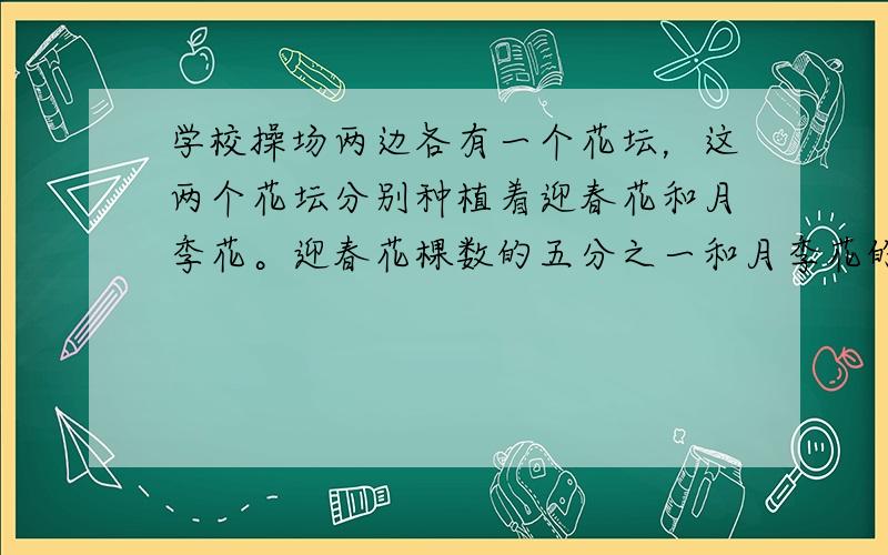 学校操场两边各有一个花坛，这两个花坛分别种植着迎春花和月季花。迎春花棵数的五分之一和月季花的三分之一相等如果月季花再种1