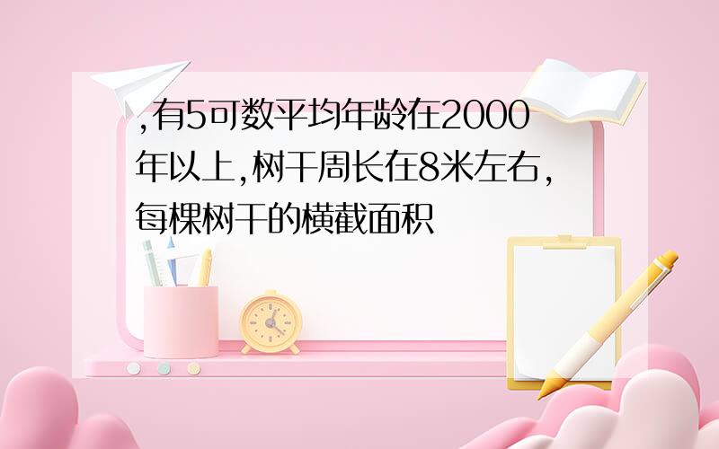 ,有5可数平均年龄在2000年以上,树干周长在8米左右,每棵树干的横截面积