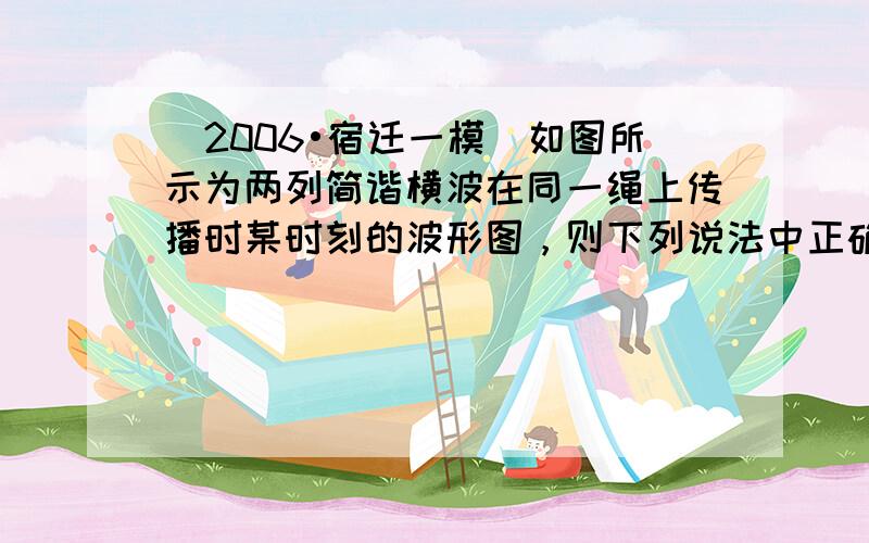 （2006•宿迁一模）如图所示为两列简谐横波在同一绳上传播时某时刻的波形图，则下列说法中正确的是（　　）