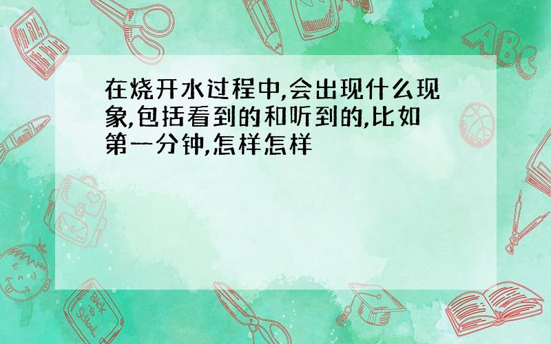 在烧开水过程中,会出现什么现象,包括看到的和听到的,比如第一分钟,怎样怎样