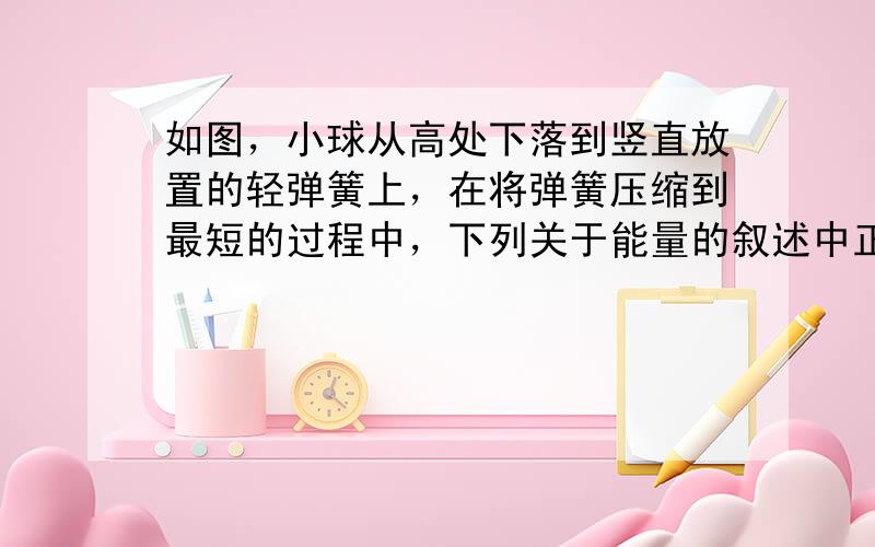 如图，小球从高处下落到竖直放置的轻弹簧上，在将弹簧压缩到最短的过程中，下列关于能量的叙述中正确的是（　　）