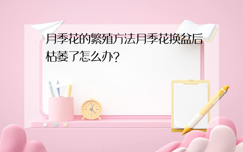 月季花的繁殖方法月季花换盆后枯萎了怎么办?