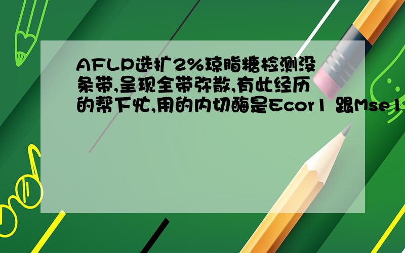 AFLP选扩2%琼脂糖检测没条带,呈现全带弥散,有此经历的帮下忙,用的内切酶是Ecor1 跟Mse1