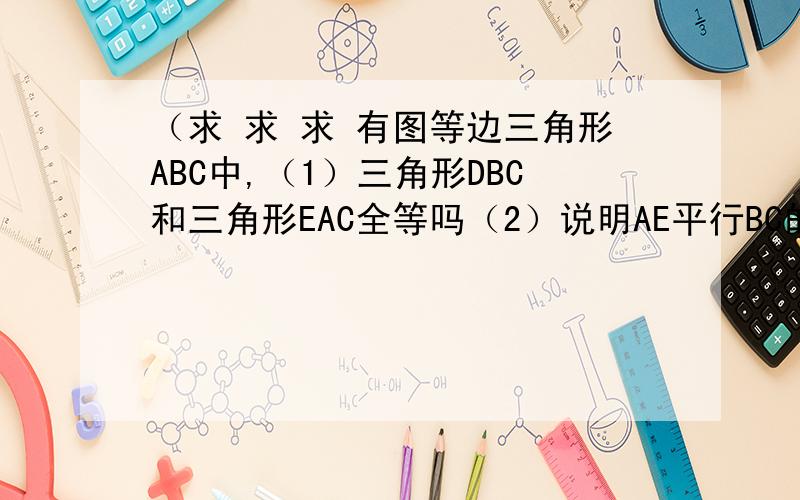 （求 求 求 有图等边三角形ABC中,（1）三角形DBC和三角形EAC全等吗（2）说明AE平行BC的原因（3）将（1）中