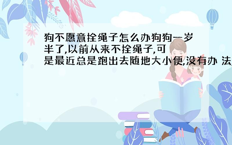 狗不愿意拴绳子怎么办狗狗一岁半了,以前从来不拴绳子,可 是最近总是跑出去随地大小便,没有办 法,今天给它拴上,也没有拉拽