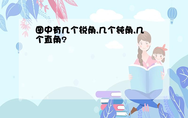 图中有几个锐角,几个钝角,几个直角?