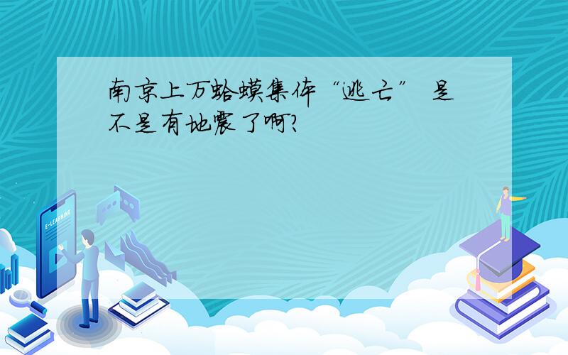 南京上万蛤蟆集体“逃亡” 是不是有地震了啊?