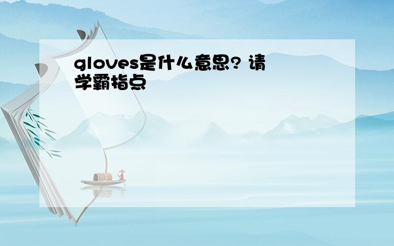 gloves是什么意思? 请学霸指点