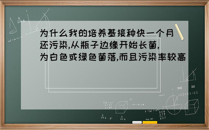 为什么我的培养基接种快一个月还污染,从瓶子边缘开始长菌,为白色或绿色菌落,而且污染率较高