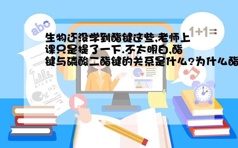 生物还没学到酯键这些,老师上课只是提了一下.不太明白,酯键与磷酸二酯键的关系是什么?为什么酯键里有C但是磷酸二酯键没C?