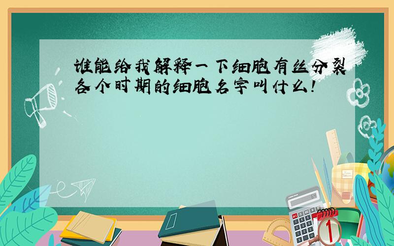 谁能给我解释一下细胞有丝分裂各个时期的细胞名字叫什么!