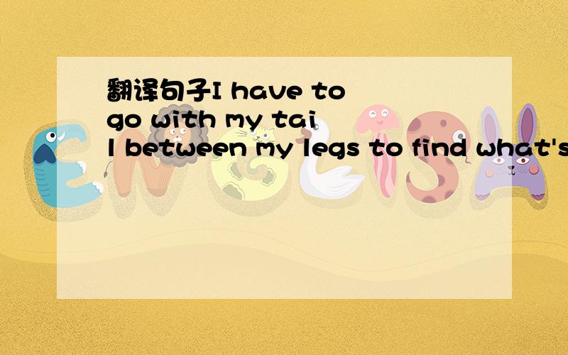 翻译句子I have to go with my tail between my legs to find what's