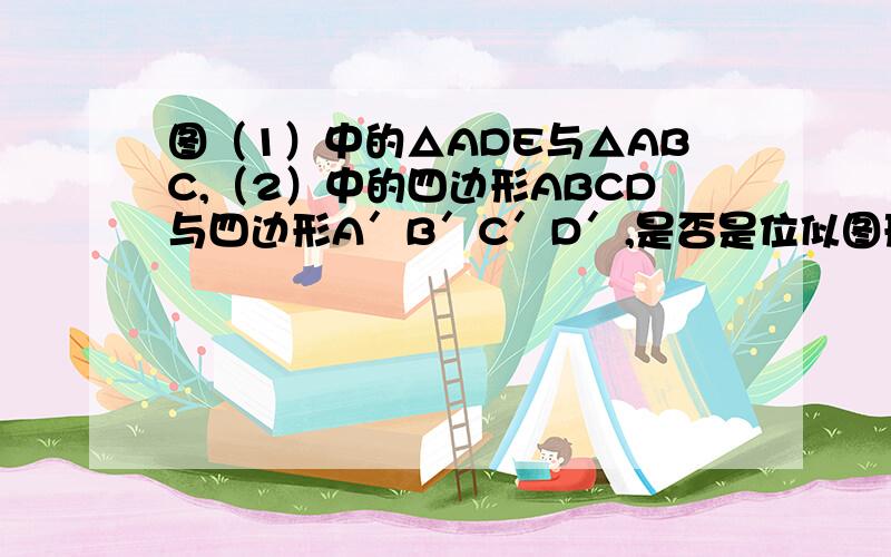 图（1）中的△ADE与△ABC,（2）中的四边形ABCD与四边形A′B′C′D′,是否是位似图形?