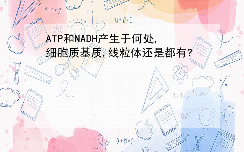 ATP和NADH产生于何处,细胞质基质,线粒体还是都有?