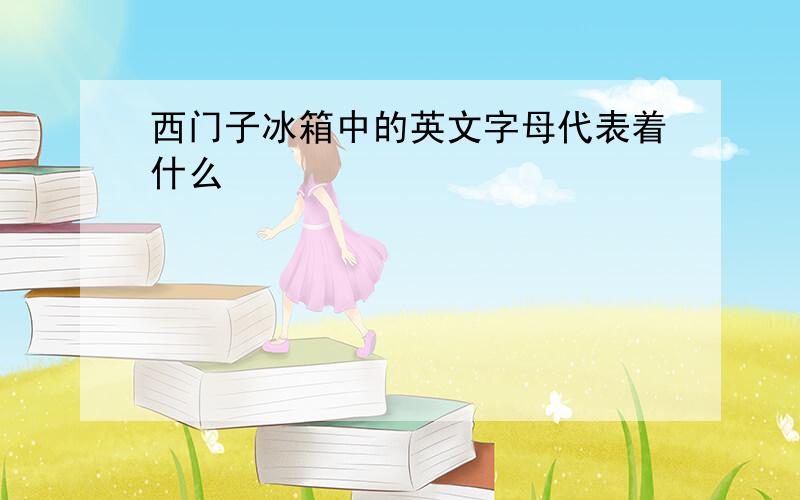 西门子冰箱中的英文字母代表着什么