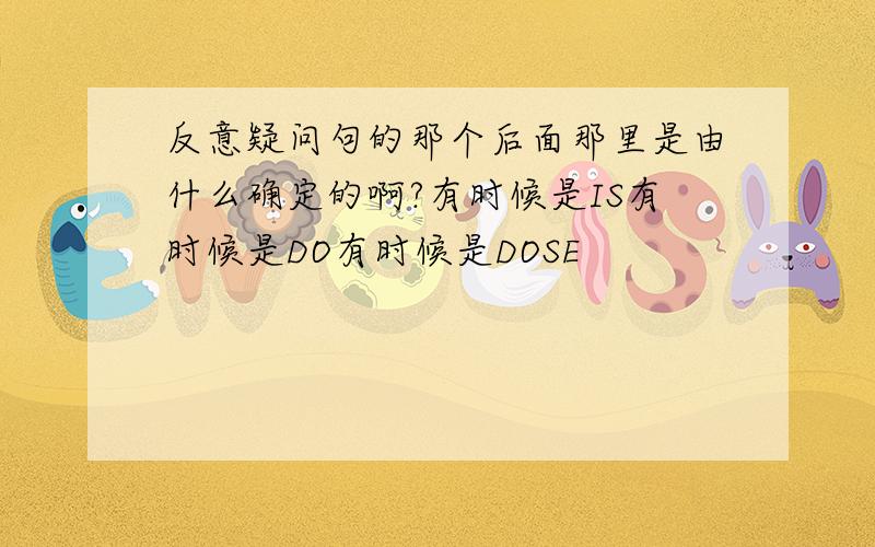 反意疑问句的那个后面那里是由什么确定的啊?有时候是IS有时候是DO有时候是DOSE