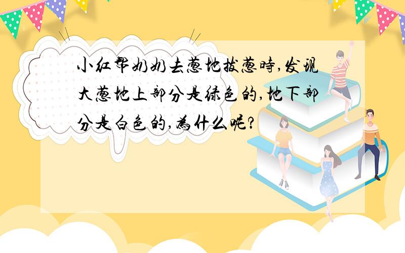 小红帮奶奶去葱地拔葱时,发现大葱地上部分是绿色的,地下部分是白色的,为什么呢?