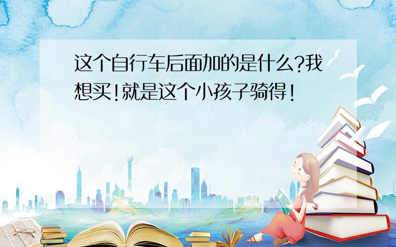 这个自行车后面加的是什么?我想买!就是这个小孩子骑得!