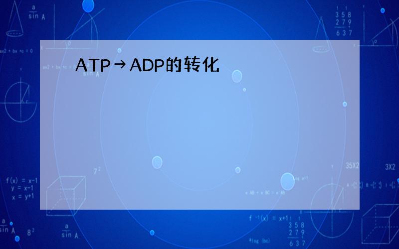 ATP→ADP的转化