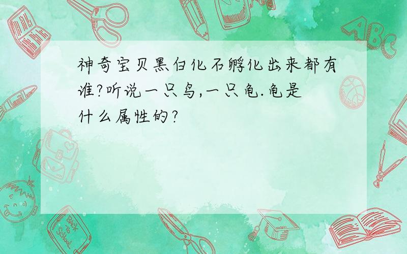 神奇宝贝黑白化石孵化出来都有谁?听说一只鸟,一只龟.龟是什么属性的?