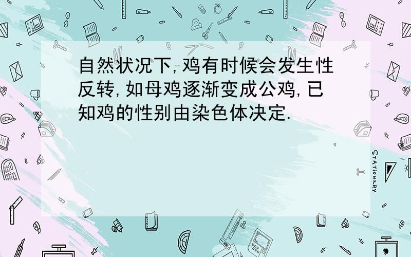 自然状况下,鸡有时候会发生性反转,如母鸡逐渐变成公鸡,已知鸡的性别由染色体决定.