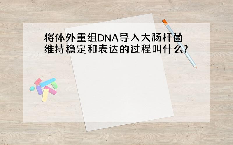 将体外重组DNA导入大肠杆菌维持稳定和表达的过程叫什么?