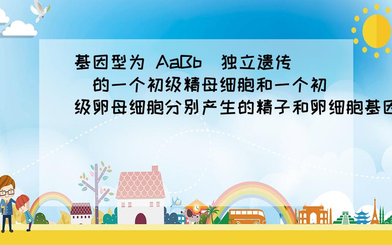 基因型为 AaBb（独立遗传）的一个初级精母细胞和一个初级卵母细胞分别产生的精子和卵细胞基因型的种类数比为