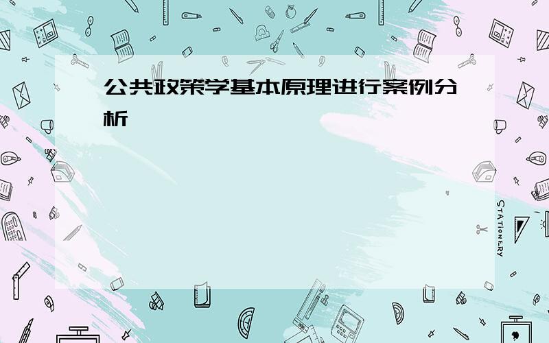 公共政策学基本原理进行案例分析