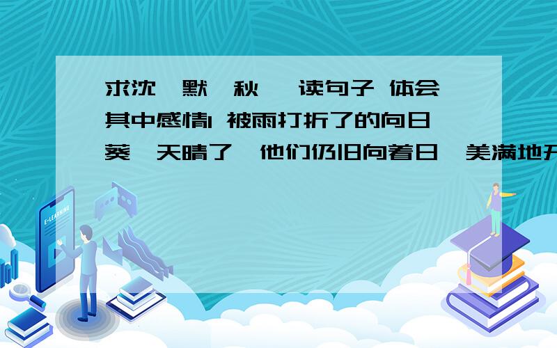 求沈尹默《秋》 读句子 体会其中感情1 被雨打折了的向日葵,天晴了,他们仍旧向着日,美满地开花,美满地结实.2 白蓼花,