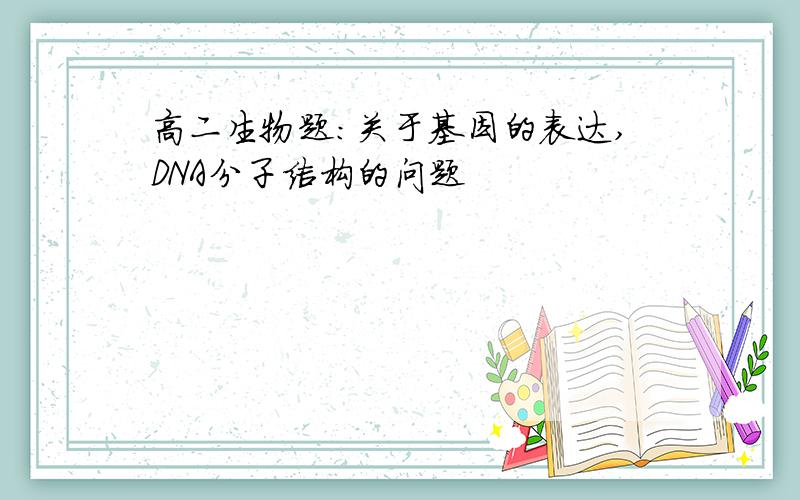 高二生物题：关于基因的表达,DNA分子结构的问题