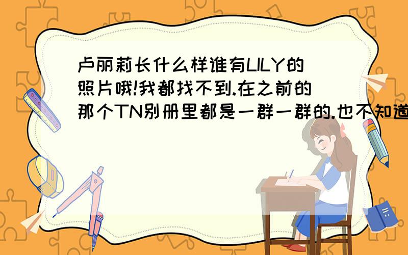 卢丽莉长什么样谁有LILY的照片哦!我都找不到.在之前的那个TN别册里都是一群一群的.也不知道是其中哪个.听说很BEAU