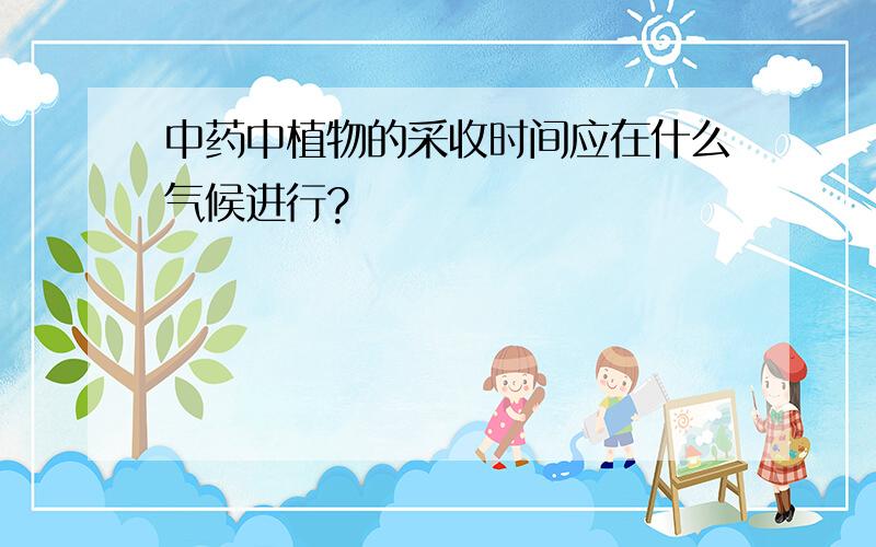 中药中植物的采收时间应在什么气候进行?