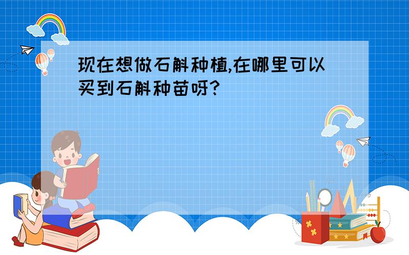 现在想做石斛种植,在哪里可以买到石斛种苗呀?