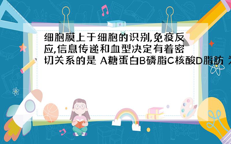 细胞膜上于细胞的识别,免疫反应,信息传递和血型决定有着密切关系的是 A糖蛋白B磷脂C核酸D脂肪 为什么.